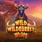 Wild Wildebeest Wins thumbnail